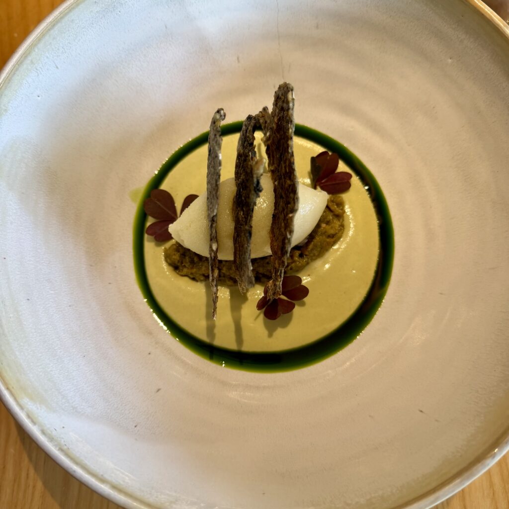 Pargot: cuando el talento no necesita reflectores img 7867