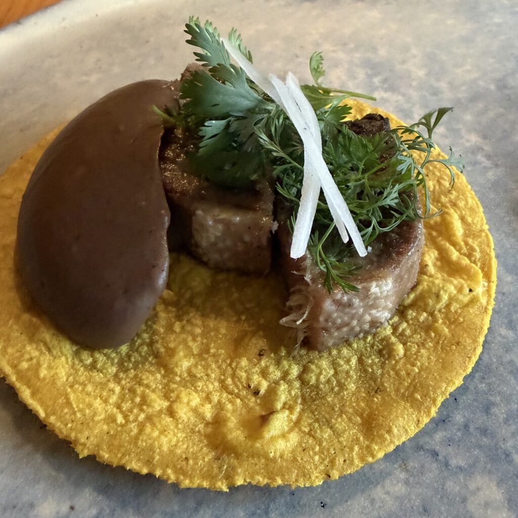 Pargot: cuando el talento no necesita reflectores image