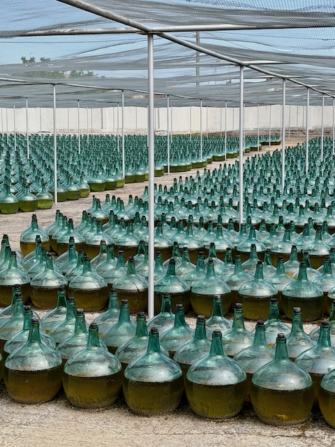El vino que envejece al sol y al sereno: el secreto de Bodegas de Alberto damajuanas
