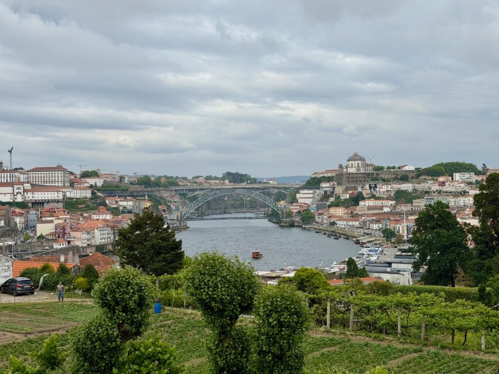 Del blanco al ámbar: una tarde en Graham's Vista del río Douro y el puente Dom Luís I desde la terraza de Graham's Port Lodge, con un barco rabelo y viñedo en primer plano